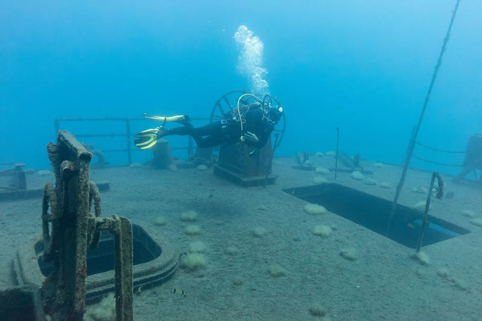 Corvette Afonso Cerqueira Wreck