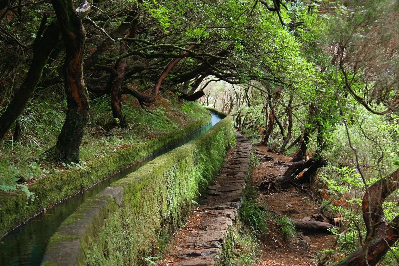 History of Madeira's levadas: how the water channels work