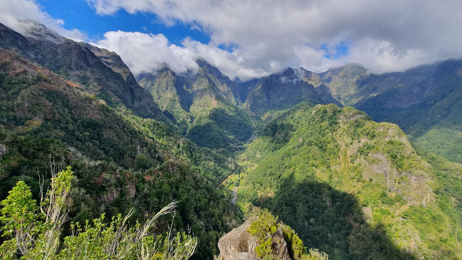 Madeira's Laurisilva: the UNESCO laurel forest and where to walk it