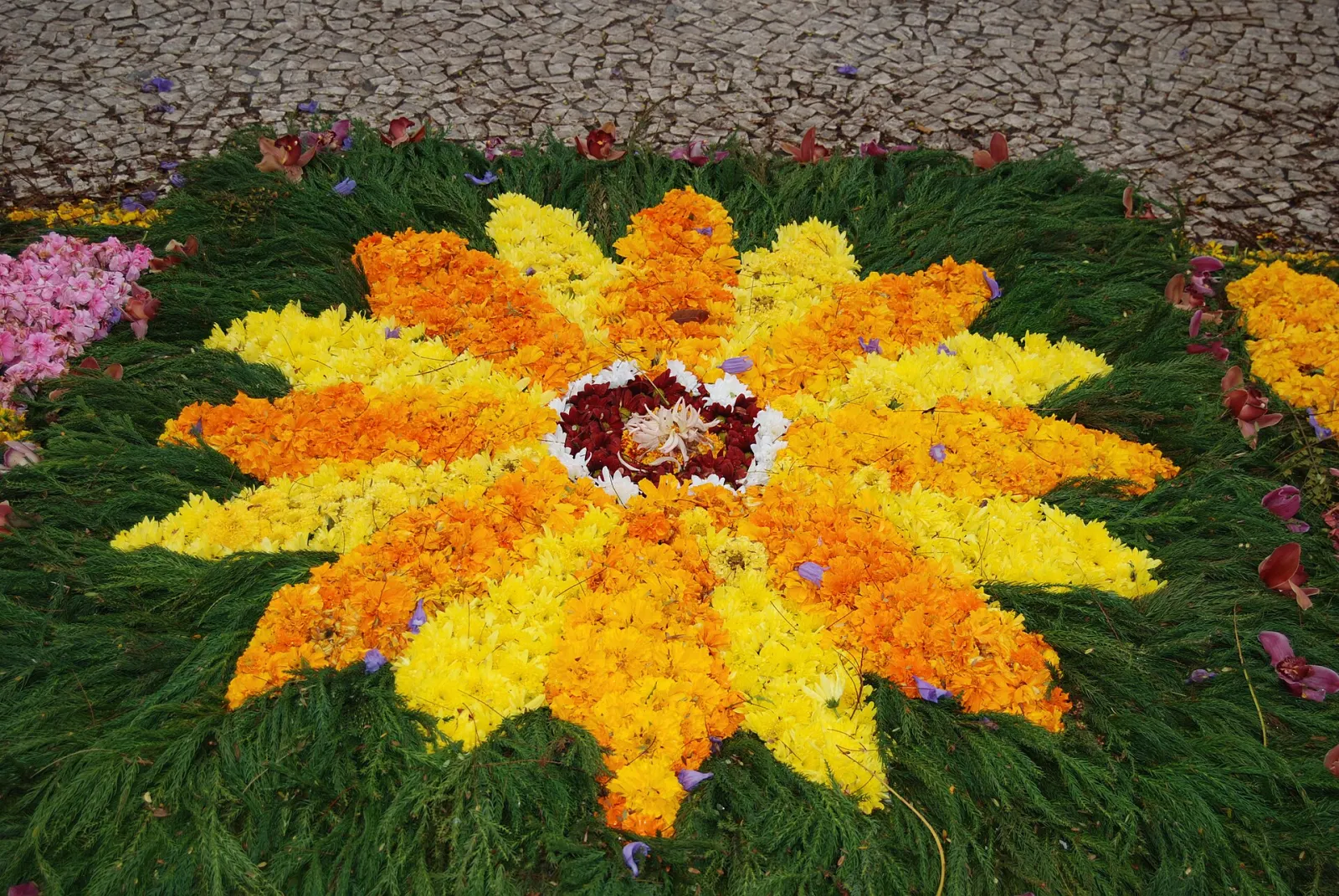 Madeira Flower Festival 2027: Dates, Wall of Hope, Parade and Flower Carpets