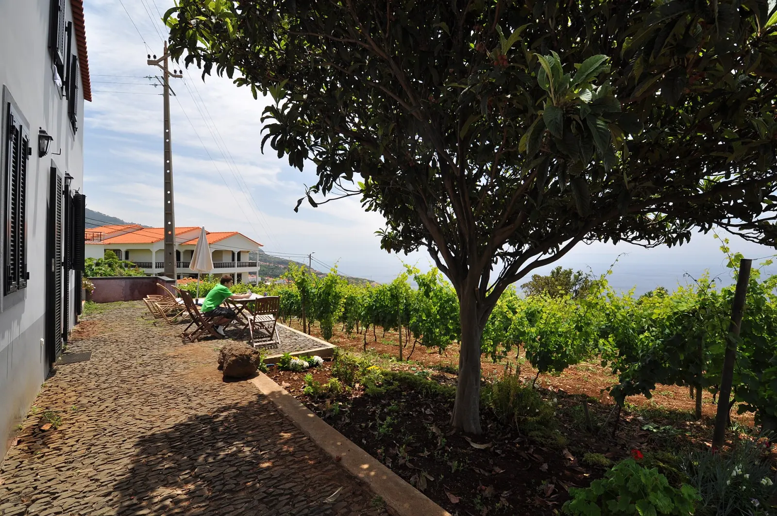 Quinta das Vinhas
