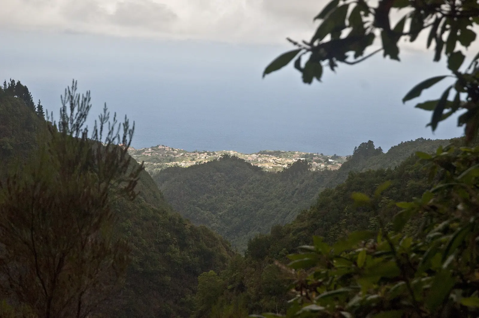 Levada do Caldeirão Verde