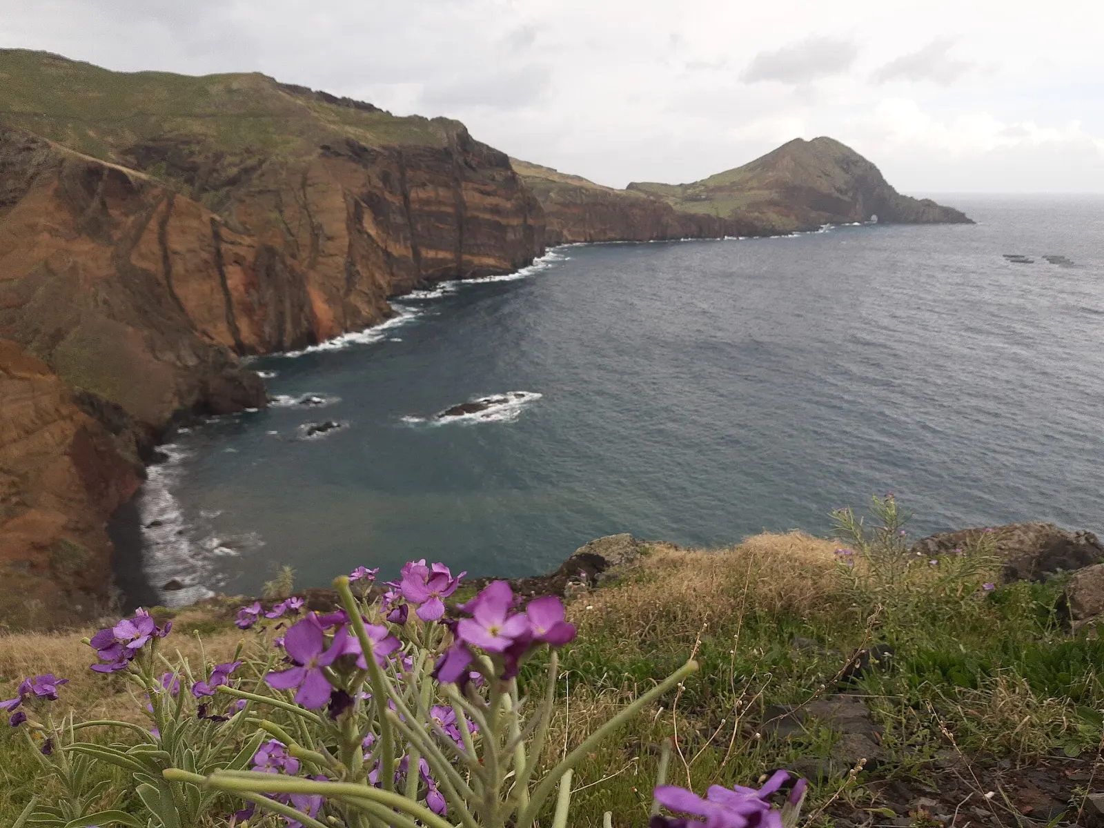 Vereda da Ponta de São Lourenço
