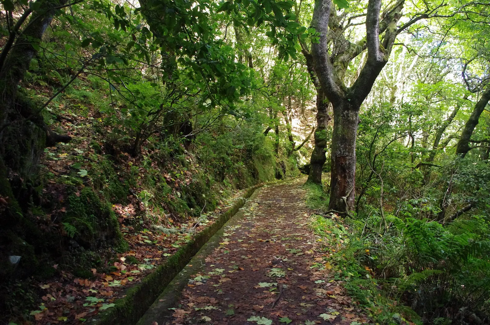 Vereda dos Balcões